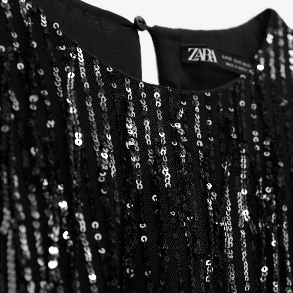 NWT Zara Sequin Fringed Mini Dress - Picture 6 of 9
